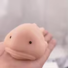 The blobsquish